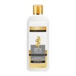 Shampoo BTX Capilar 400 ml